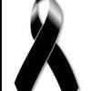 adelagutierr794